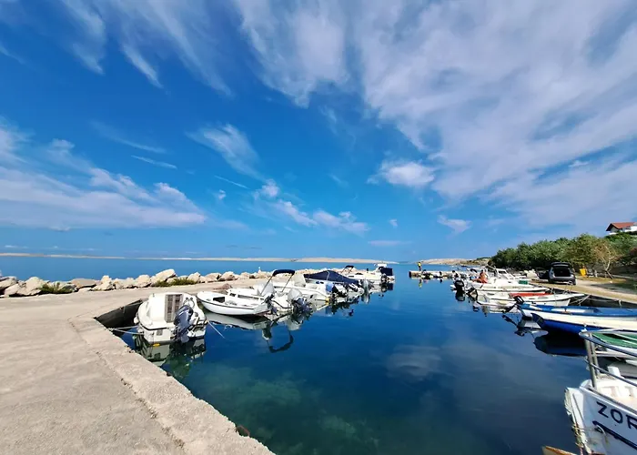 Apartman Olivus *
